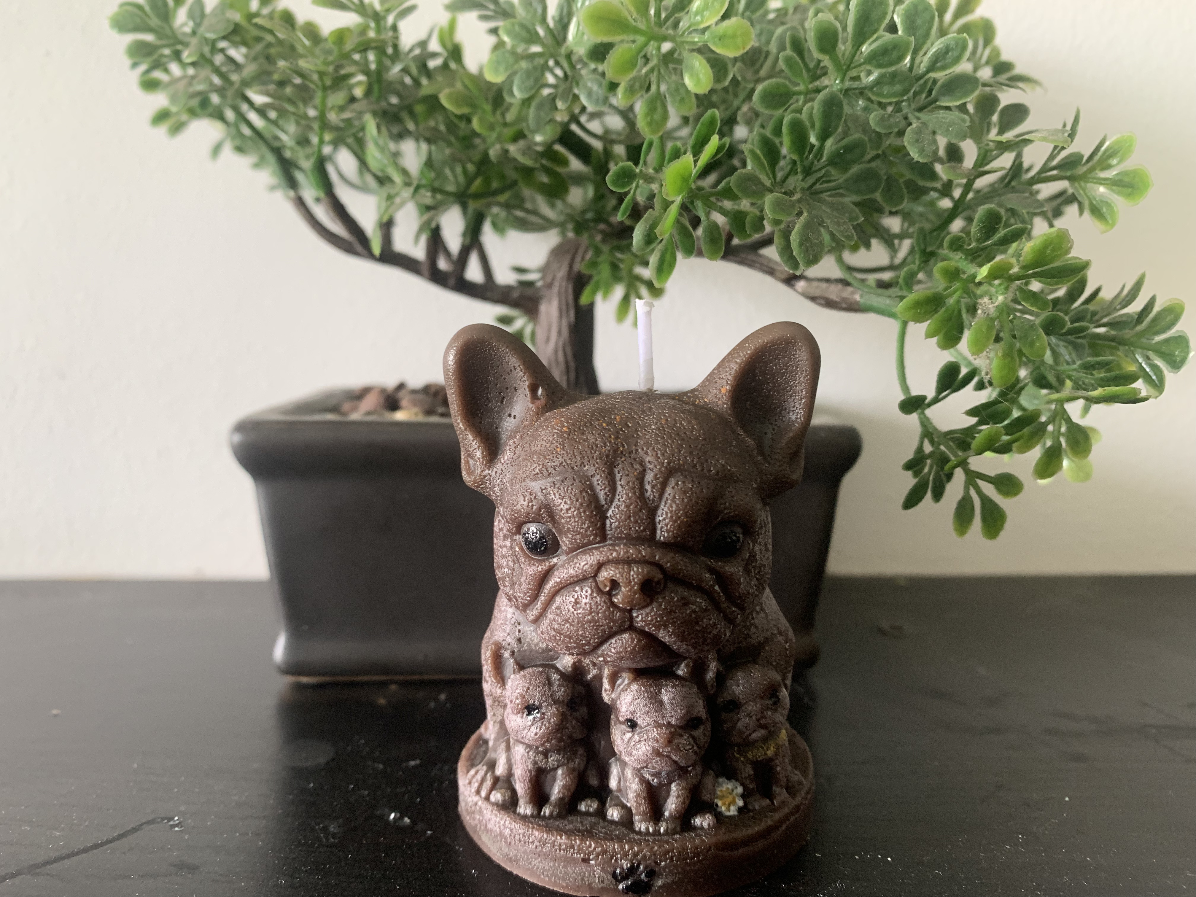 Vela Bulldog Inglés